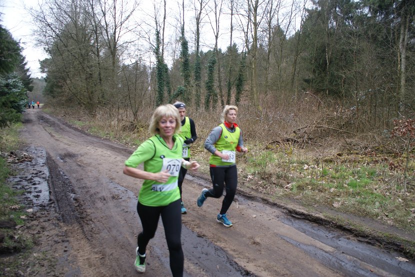 Bosloop Brecht - 31